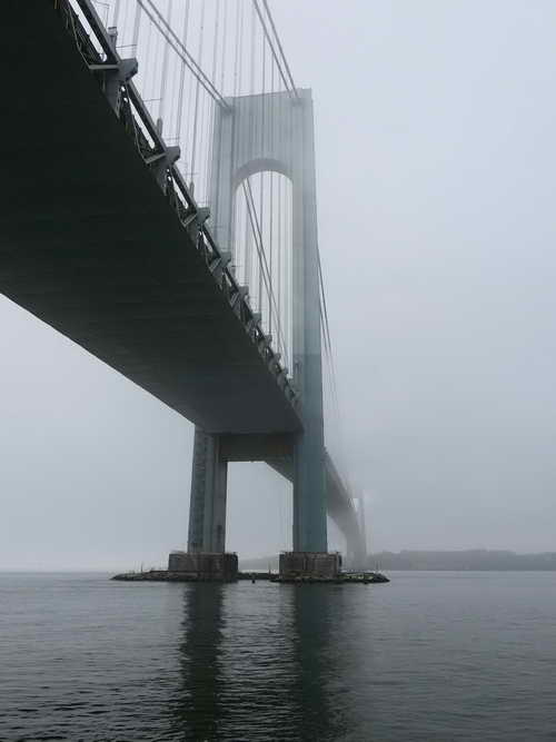 NYC_2020-02-01 11-35-55_P1090178